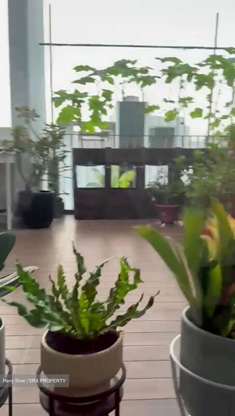 Sunrise Avenue (D28), Terrace #498112891